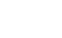 ringspann-white